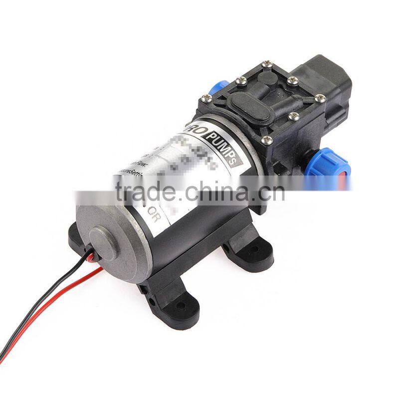 Hot Sale Car Wash Micro Diaphragm High Pressure Water Pump with Automatic Switch