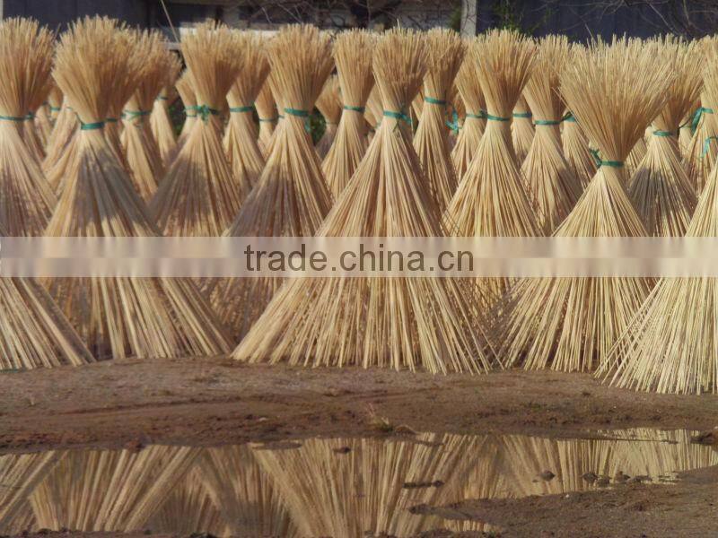 Raw Bamboo Cane Export