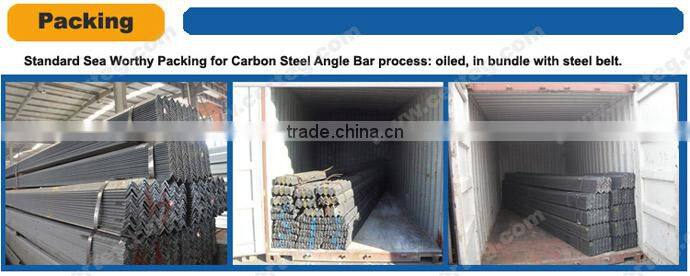 Top Quality SGS Test Hot Dipped Galvanized Iron Angle Bar