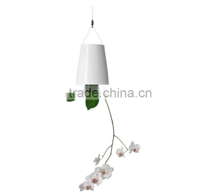 Plastic Sky Planter Creative Decorative Home Mini Sky Garden Flower Pot Beauty Sky Planter
