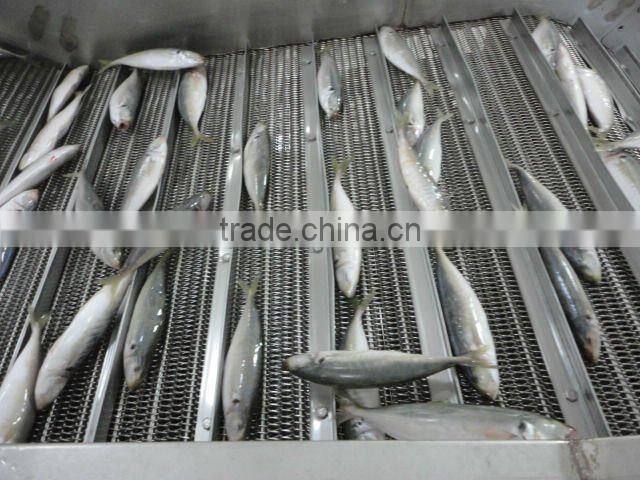 frozen good horse mackerel round scad