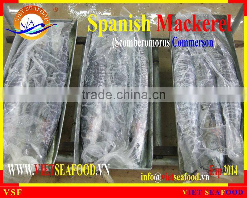 FROZEN STEAK SPANISH MACKEREL