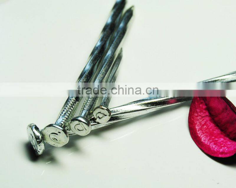 galvanized twisted/spiral shank steel concrete nails