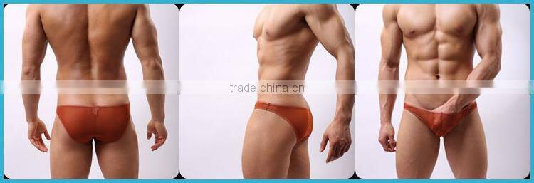 Without Logo Hot Sexi Photo Image Of Transparent Mesh Underwear Briefs Custom SC14
