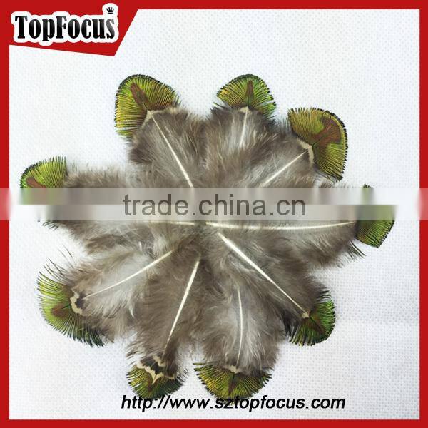 hot sale designer indian cheap natural artificial peacock feathers
