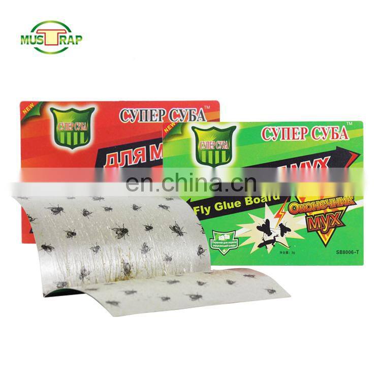 Best selling cheap price catch fruit fly glue trap sticky fly paper
