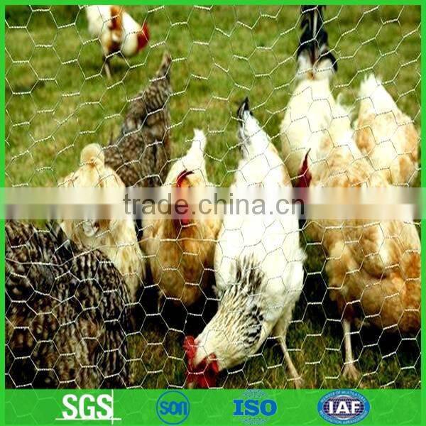 Trading & supplier of China products Coated Chicken Wire