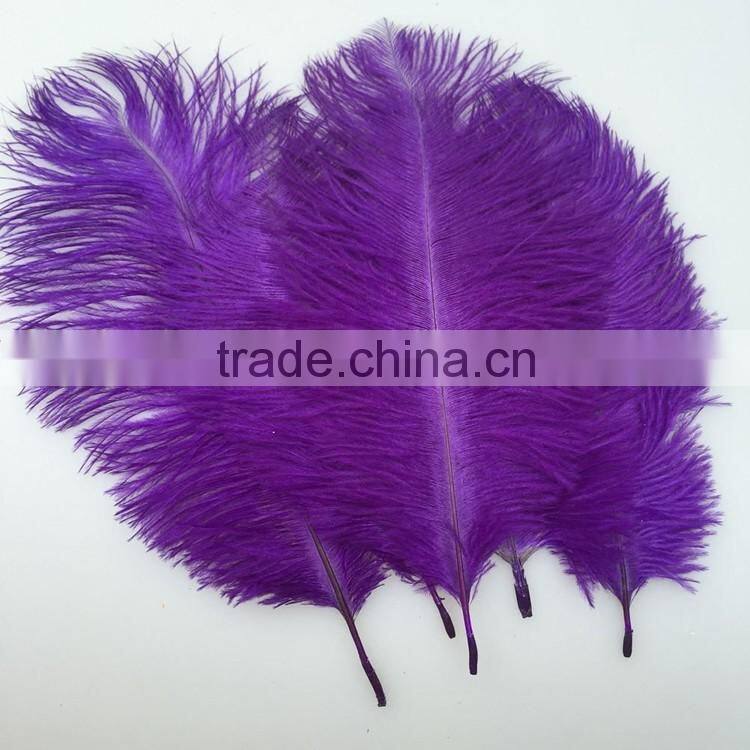 Dyed Ostric Feather, Feather ostric plumes for Carnival costumes