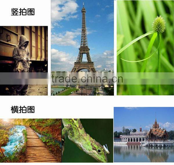 Commlite ComPak E9 Battery Grip/ Vertical grip/ Battery pack for Canon 60D