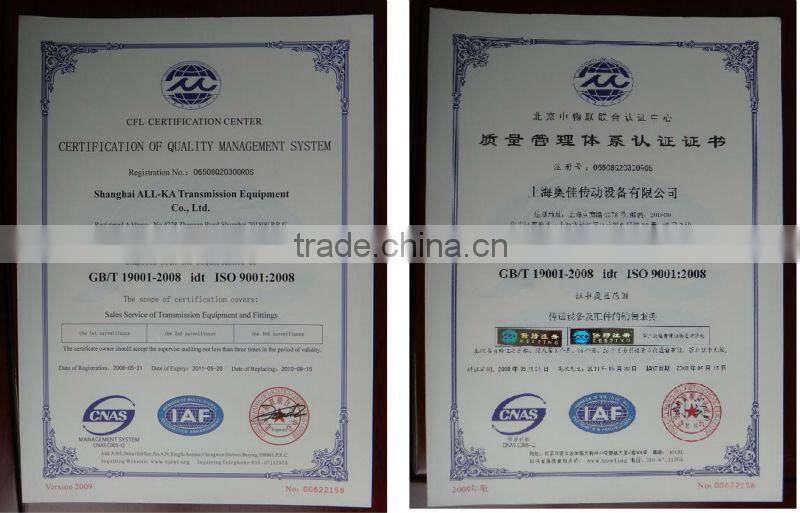 518/316 stainless steel chain plate conveyor system for packing