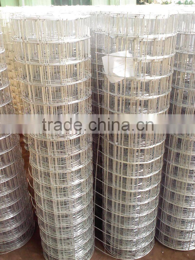 Galvanized welded wire mesh Factory Low Price