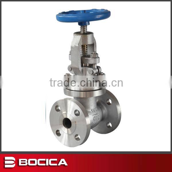 flanged bolted bonnet cf8m globe valve