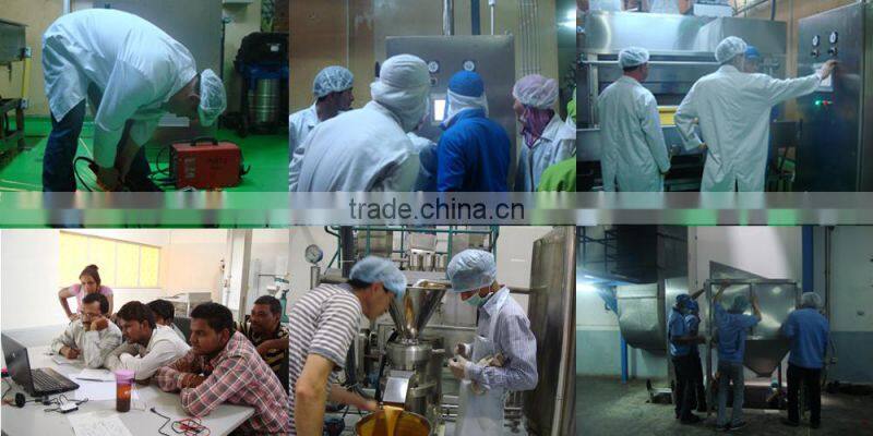 Continuous Honey Coated Peanut New Designed Peanut Coating Production Line
