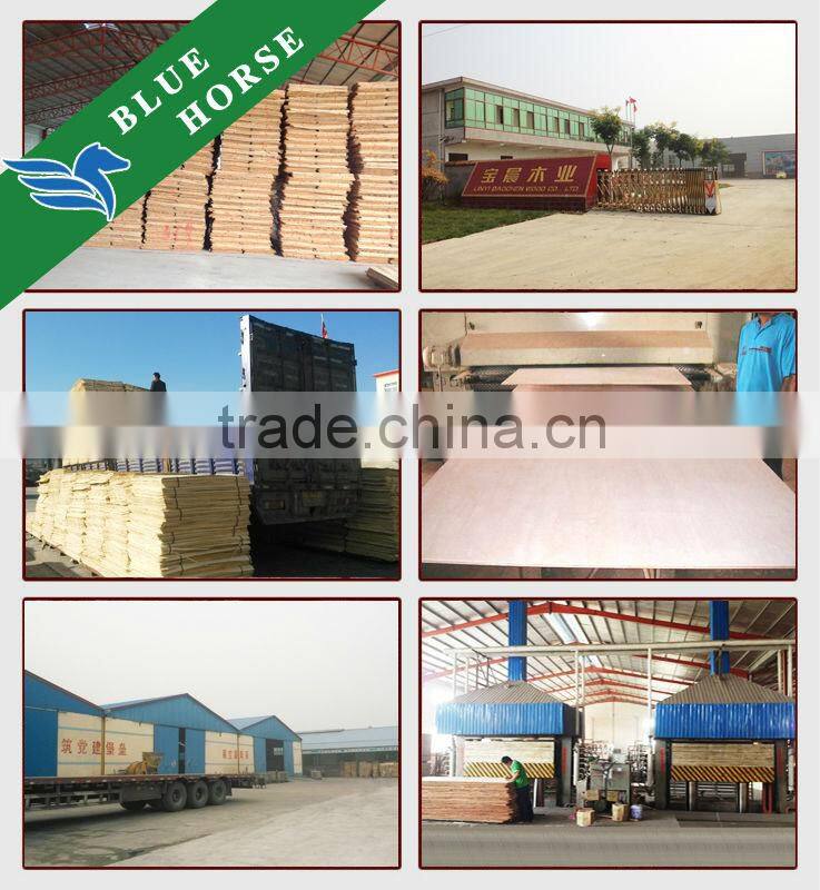 russian birch plywood baltic birch plywood cabinet grade 18mm birch plywood