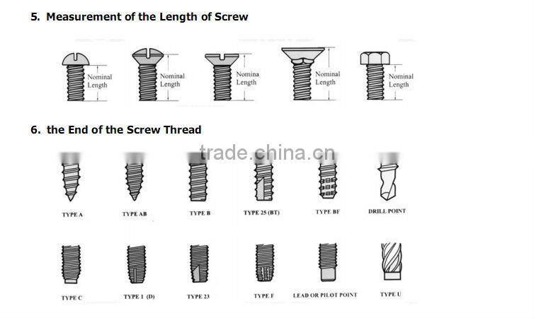 carbon steel phillips self drilling tapping screws