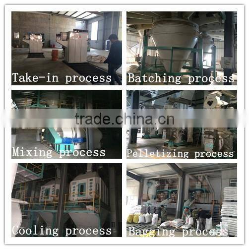 ISO standard pellet production line complete