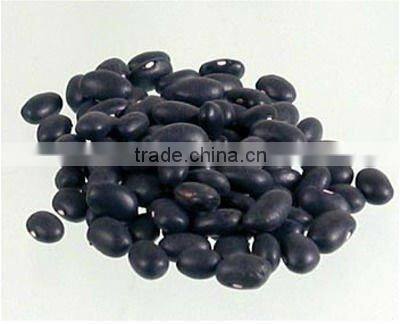 Small Black Canned Bean