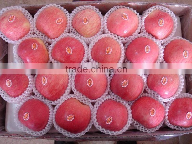 2016 Fresh Fuji apple from China Fresh Fuji apple price