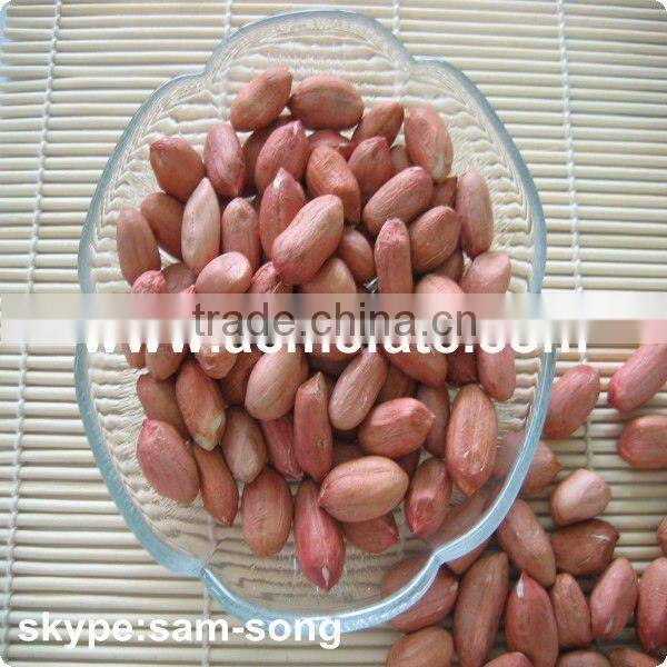 red peanut kernels