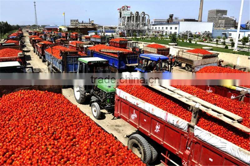 Brix 28-30% 36-38% tomato paste in bottles or drums