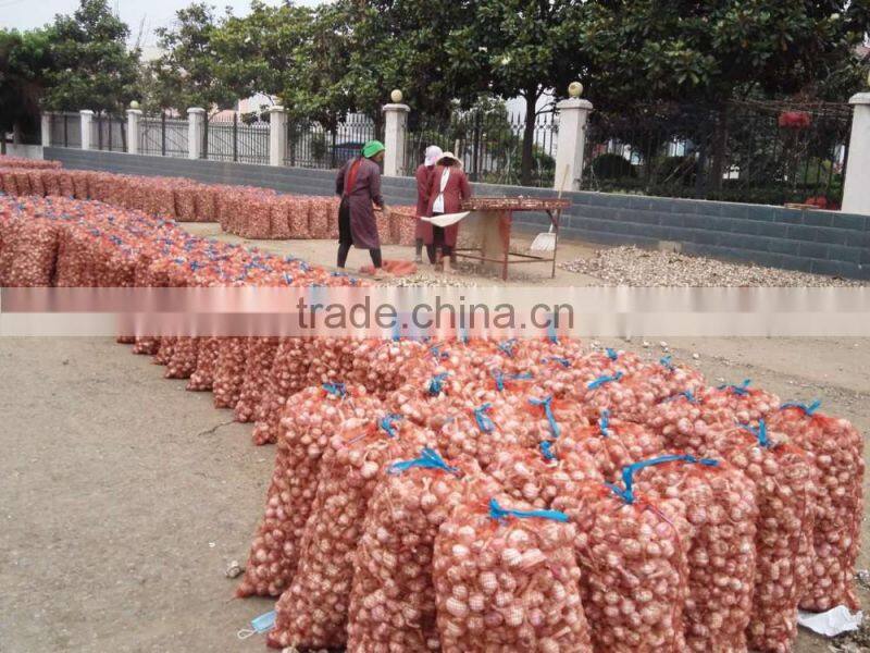 China Top 8 Manufacturer Supplier 2016 Fresh Garlic for Indonesia, Malaysia, Brazil