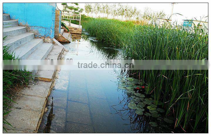 Facial Tissue Paper Consumable