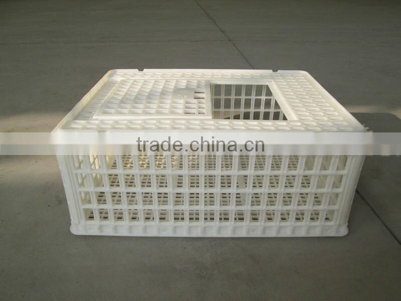 chicken transport trays