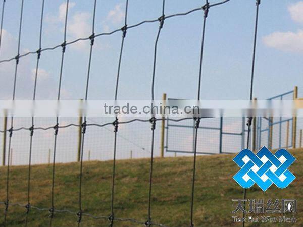 galvanized iron grassland fence / galvanzied grassland fence / cattle fence