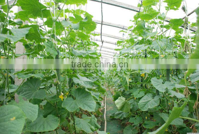 Anti UV Anti drip Anti aging PE Film Greenhouses for Vegetable
