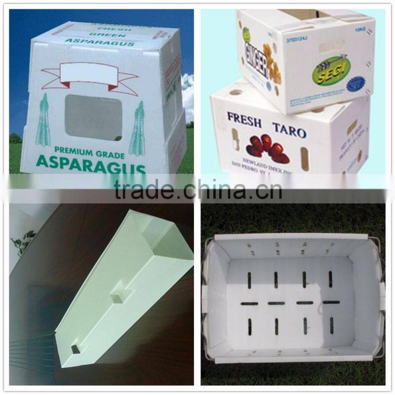 Colorful PP Corrugated Sheet/Coroplast