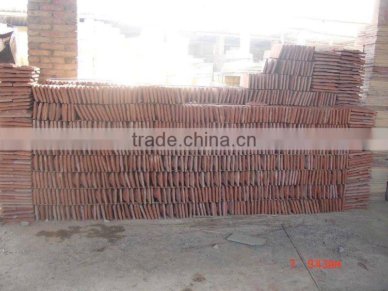 red sandstone walling mushroom