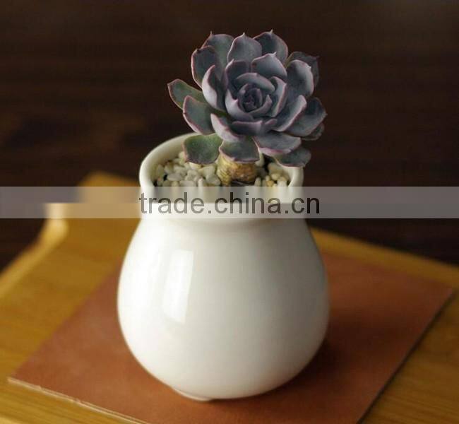 Attractive indoor glazed white ceramic small flower pots