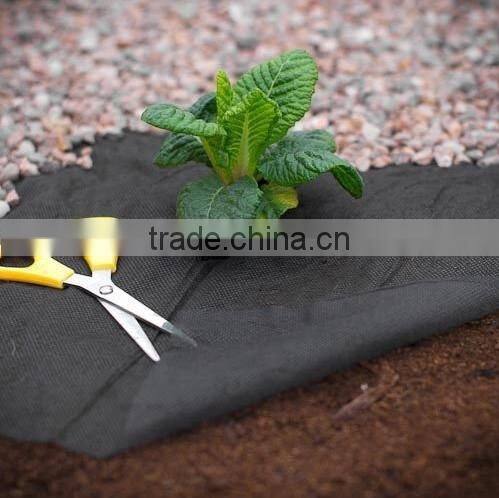 Black PP Woven Weed Control Fabric,Landscape Fabric