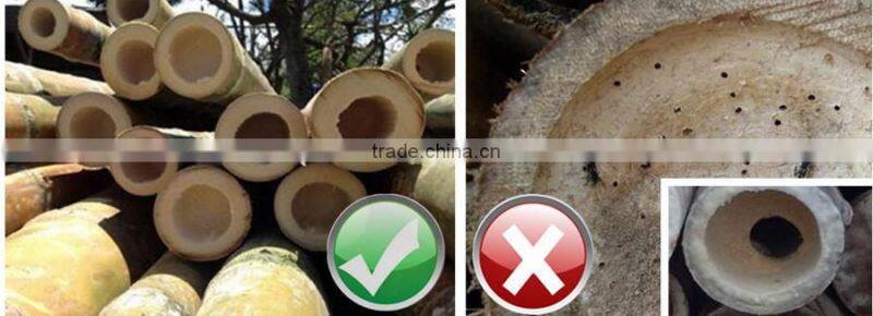 Carbonized Brown Decorative Bamboo Fencing Supplier