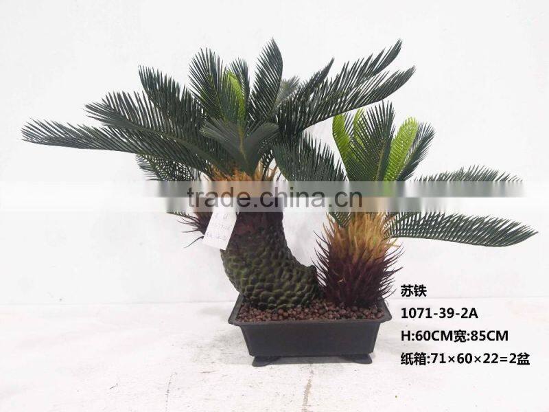 1071-32 plastic pot cycads tree