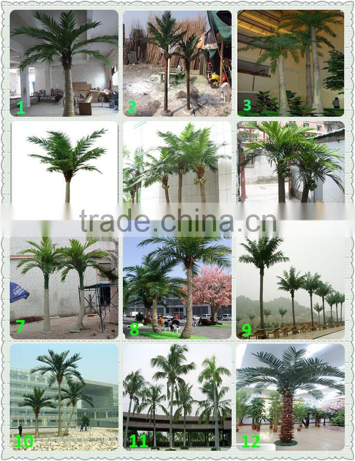 factory direct high quality Palm tree with cheap price palm tree for shopping mall decoration