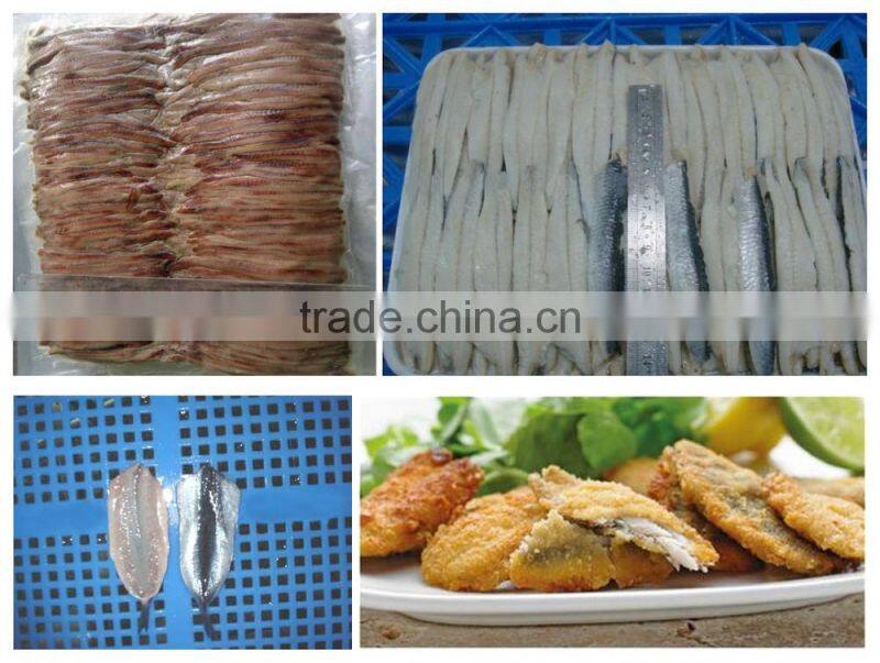 Good Quality Frozen Whole anchovy
