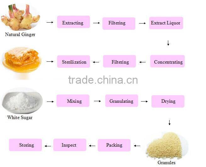 Instant Ginger Drink / Ginger Tea Powder