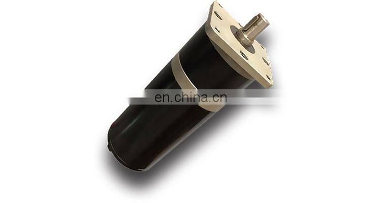 24V High Torque Planetary Gearbox Brush DC Gear Motor BMM12010M