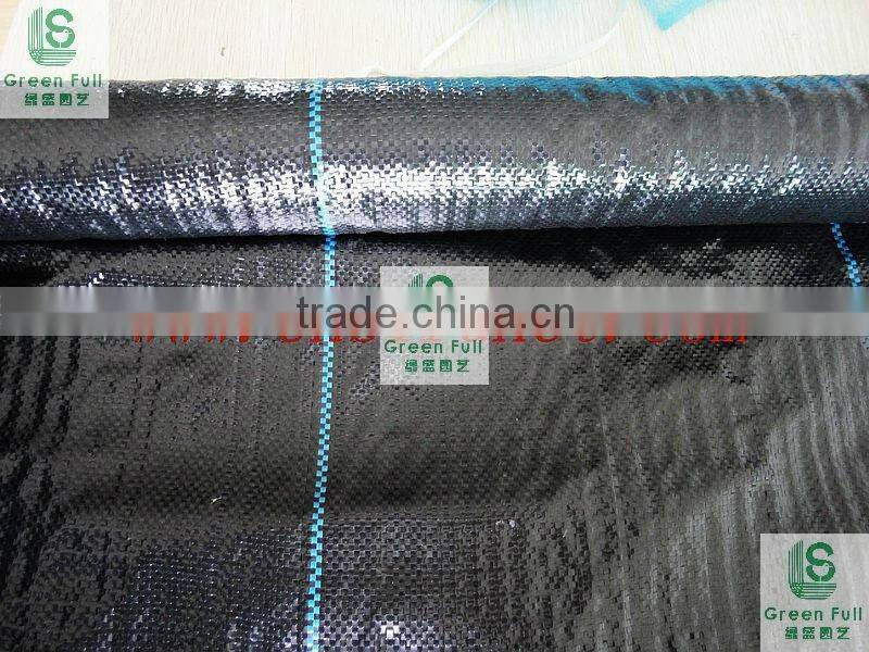 Good Quality Ground Cover