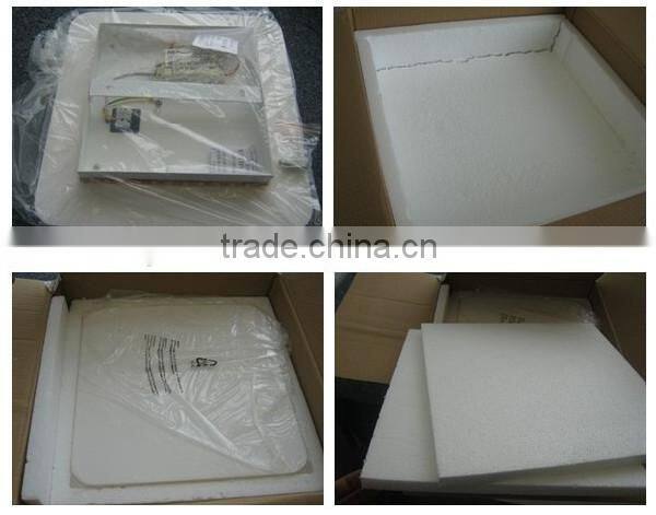 Decorative Gypsum Plaster Gesso And Glass Fabre ceiling lights