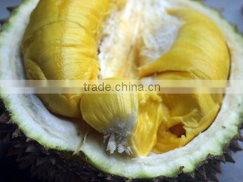 FRESH / FROZEN DURIAN IN VIETNAM