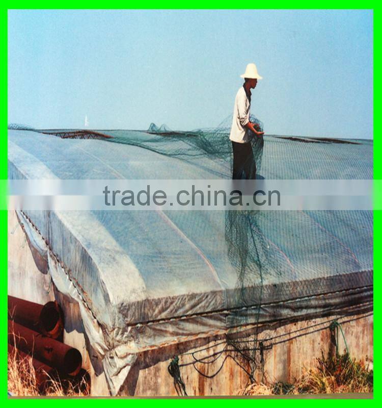 100% virgin HDPE with UV resistant tunnel covering film fuit used woven transparent pe cover