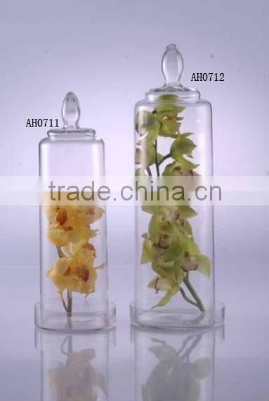 Clear Glass Decorative Bell Jar