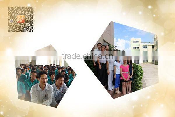 Hot Sale Convection Electric Oven Toasters