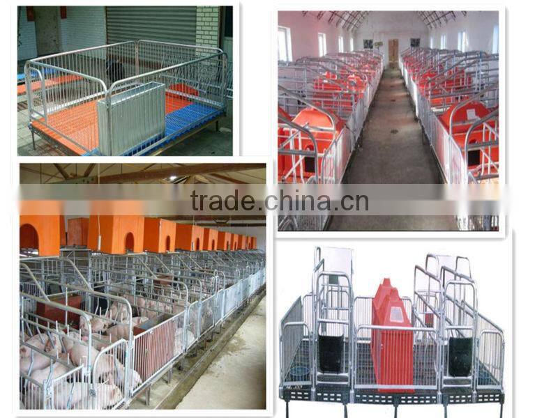 sows cage farming equipment cage hot sale