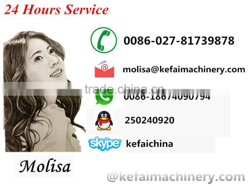 Model-FR241T Date/Ribbon Coding printing machine