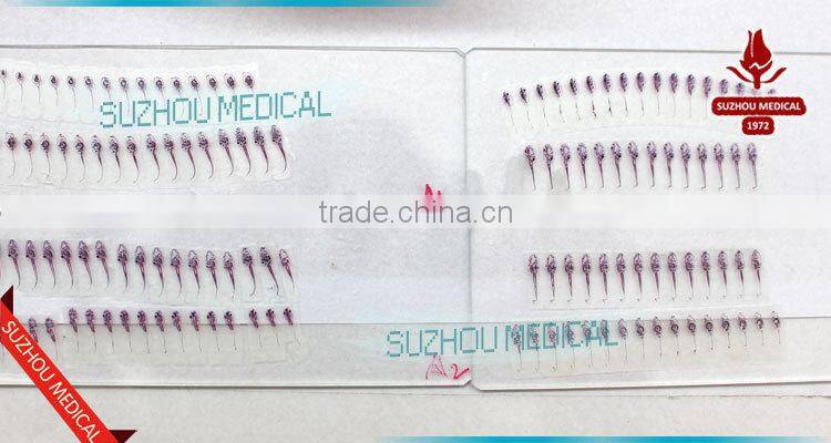 3-5mm 7-9mm 10-11 frog embryo prepared microscope slides