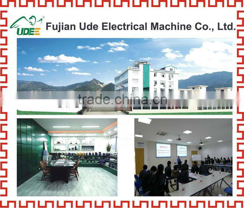 MY series electrical motor price