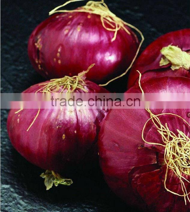 whole Red Onion
